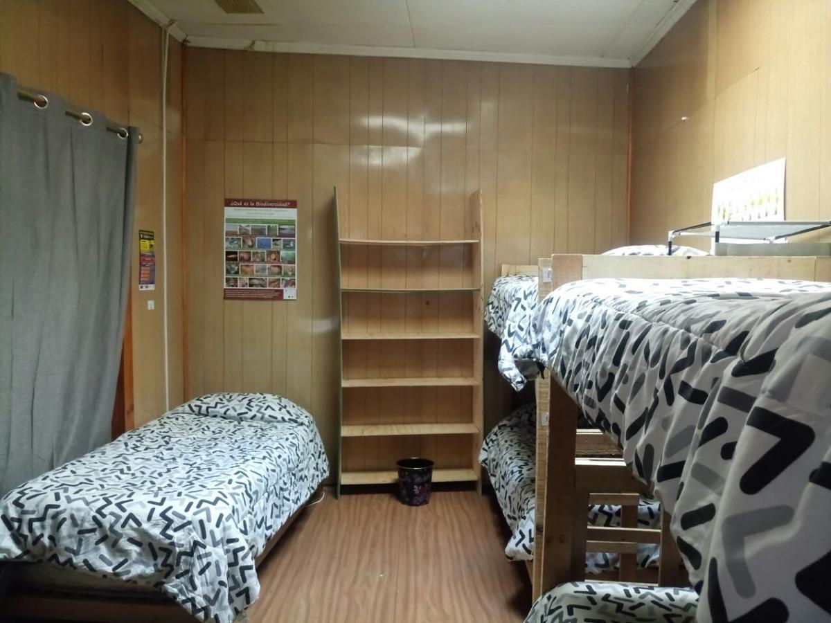 Hostal La Morenita Punta Arenas Exterior photo